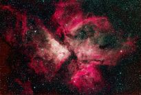 Nebulosa Eta Carina (Autor(a): Wilton Ferreira da Costa)