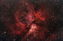 NGC 3372 - Nebulosa Eta Carinae (Autor(a): Diniz)