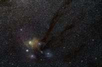 Antares & Rho Ophiuchus complex (Autor(a): Diniz)